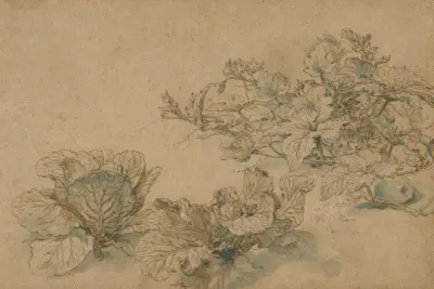 Studies of a Marrow Plant and Cabbages av Abraham Bloemaert