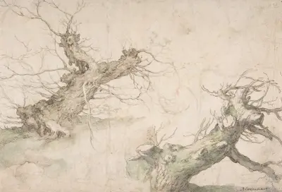 Studies of Two Pollard Willows av Abraham Bloemaert
