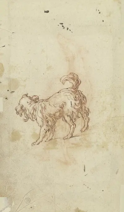Study sheet; two dogs av Abraham Bloemaert