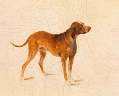 Jagdhund av Adalbert Stifter