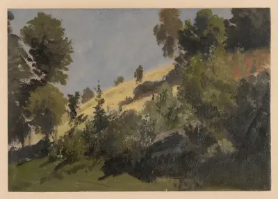 Mountain slope near Książ av Adolf Dressler