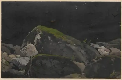 Rocks overgrown with moss von Adolf Dressler