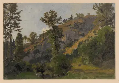 Slope overgrown with trees in the Szczawnik valley av Adolf Dressler