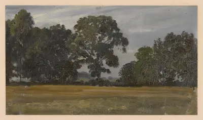 Trees in a meadow in the Oder valley von Adolf Dressler