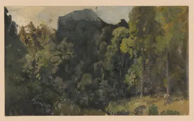 View of streamside marshland in the Szczawnik valley von Adolf Dressler