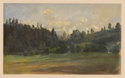 View of the verge of a forest in Książ von Adolf Dressler