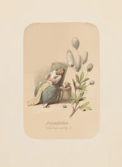 Katzenpfötchen. Trifolium arvense av Adolf Schrödter
