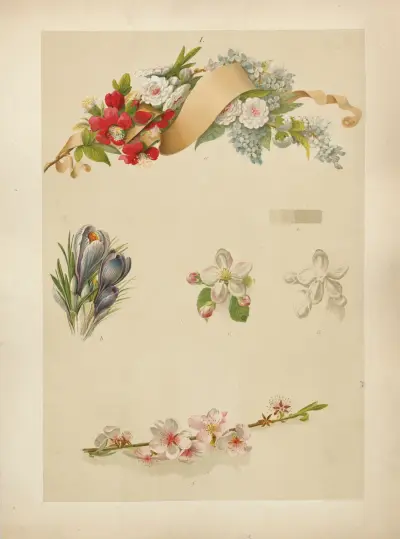 Studien zur Aquarell-Malerei Pl.01 av Adolf Schrödter