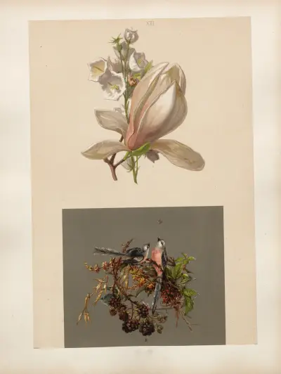 Studien zur Aquarell-Malerei Pl.12 av Adolf Schrödter