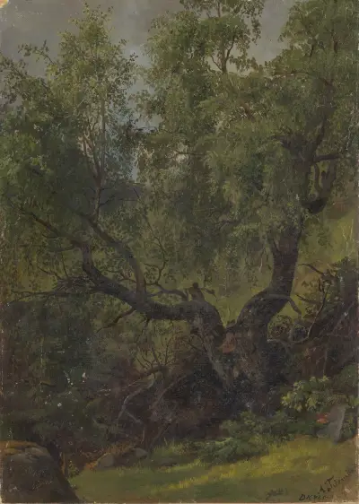 Forest Study from Numedal av Adolph Tidemand