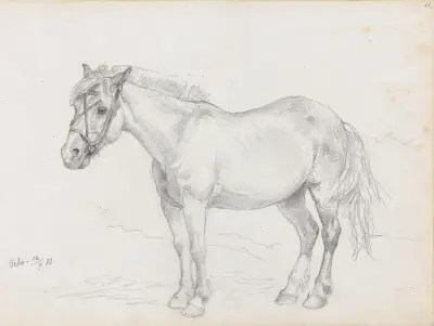 Hest, Velo av Adolph Tidemand