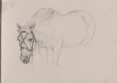 Horse av Adolph Tidemand