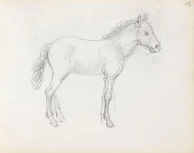 Horse study av Adolph Tidemand