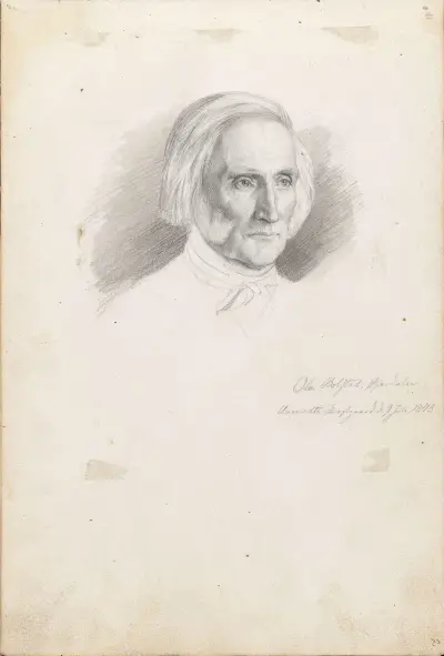 Ola Bolstad av Adolph Tidemand