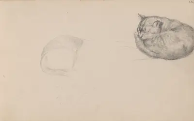 Studien einer schlafenden Katze von Adolph Tidemand