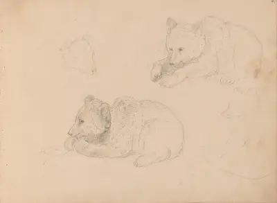Studies of bear cubs av Adolph Tidemand