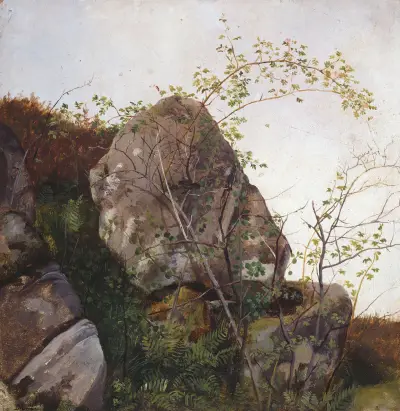 Study of Dog Roses and Ferns av Adolph Tidemand