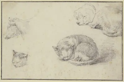 Schlafende Katze und Hund, ein Kuhkopf und ein Katzenkopf av Aelbert Cuyp