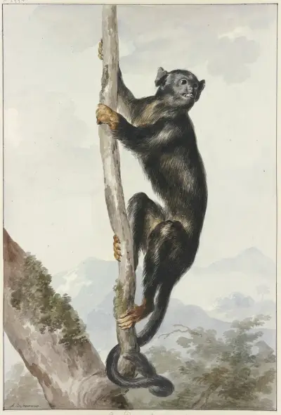 Bos duyvel, Aert Schouman