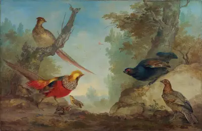 Pheasants av Aert Schouman