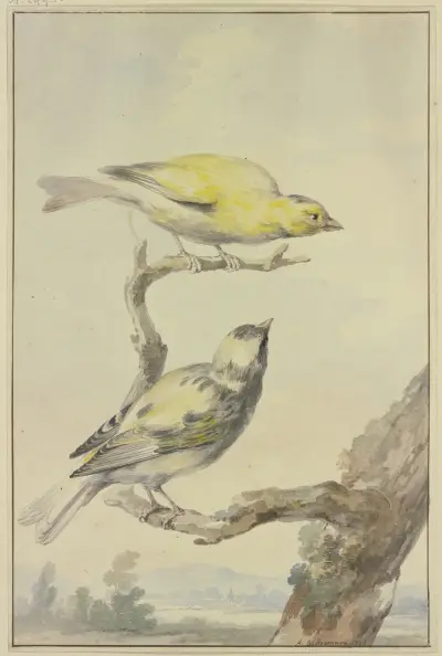 Two canaries av Aert Schouman