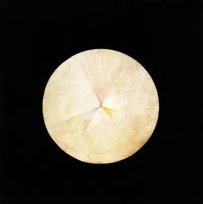 Serie SUW, nr 14 Svanen av Hilma af Klint