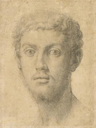 Head of a Man av Agnolo Bronzino
