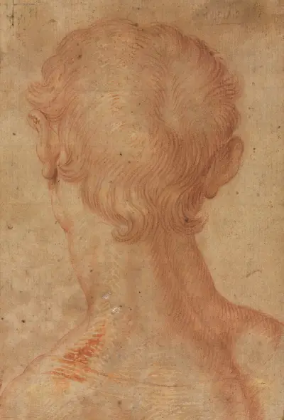 Man’s Head from the Back av Agnolo Bronzino