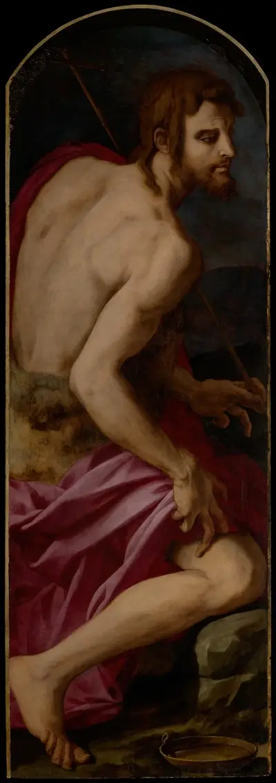 Saint John the Baptist av Agnolo Bronzino