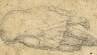Study of a man’s right hand av Agnolo Bronzino