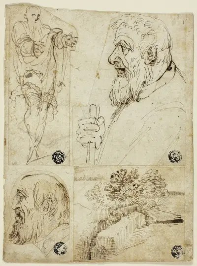Four Sketches; Standing Male Figure; Profile Bust of Bearded Man; Profile Head of Bearded Man; Landscape av Agostino Carracci