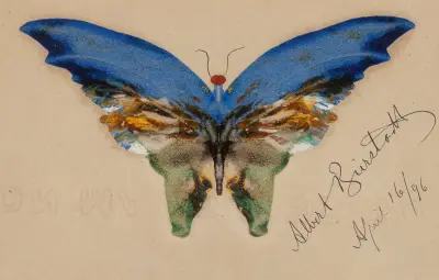 Blue Butterfly av Albert Bierstadt