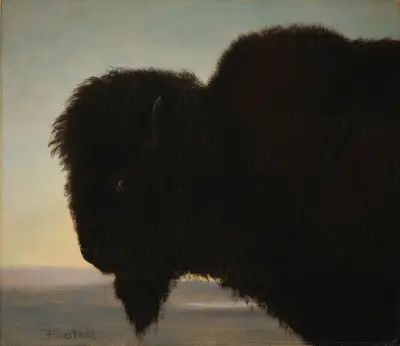 Buffalo Head av Albert Bierstadt