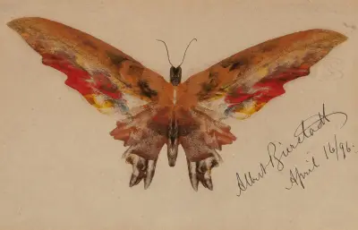 Butterfly av Albert Bierstadt