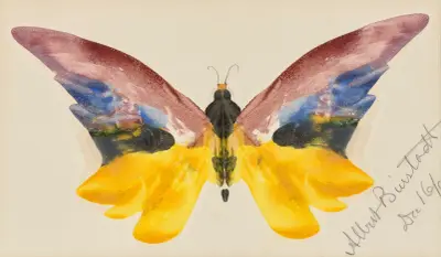 Butterfly av Albert Bierstadt