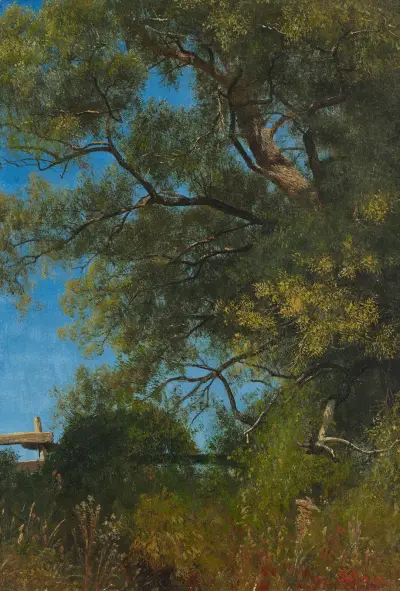 Salem, Oregon av Albert Bierstadt