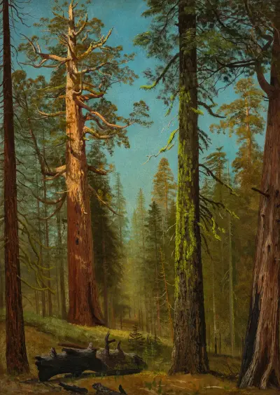 The Grizzly Giant Sequoia, Mariposa Grove, California von Albert Bierstadt