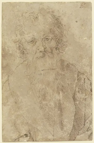 Bearded old man av Albrecht Dürer