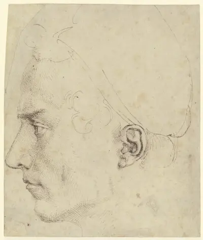Male head in profile av Albrecht Dürer