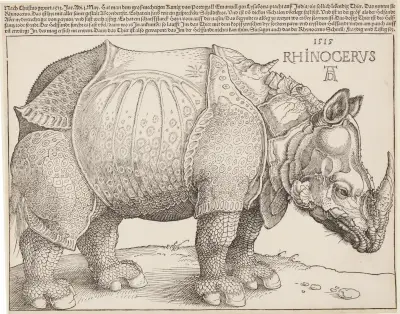 Rhinocerus (Das Rhinozeros) av Albrecht Dürer