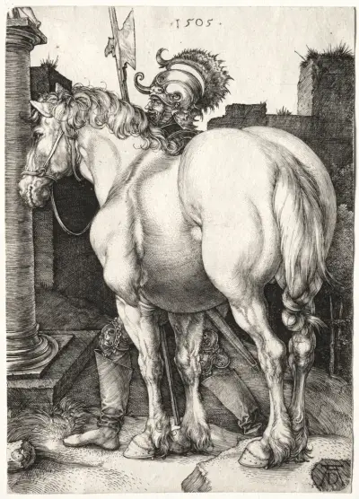 The Large Horse av Albrecht Dürer