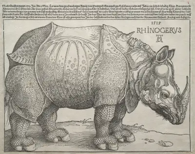 The Rhinoceros, 1515 – nr 1 av Albrecht Dürer