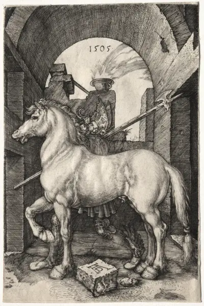Koníček, Albrecht Dürer