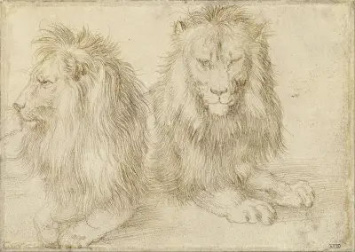 Two seated lion av Albrecht Dürer