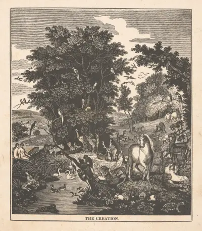 The creation av Alexander Anderson