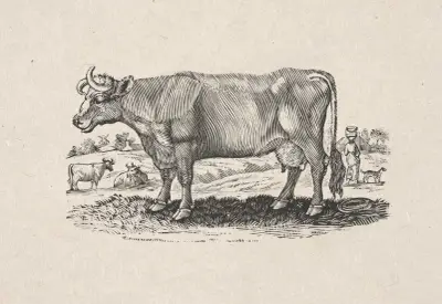 The Holstein, or Dutch breed av Alexander Anderson