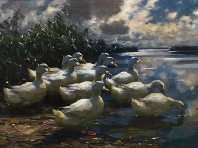 11 Enten in der Morgensonne av Alexander Koester