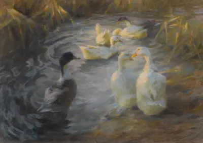 Enten zwischen Schilf an einem Teich von Alexander Koester