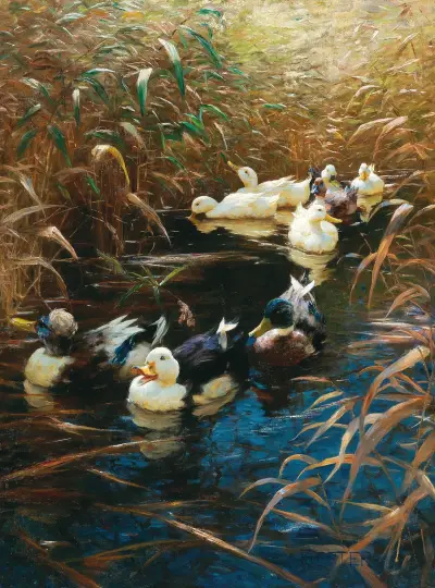 Enten im Herbstschilf – Nr. 2 von Alexander Koester