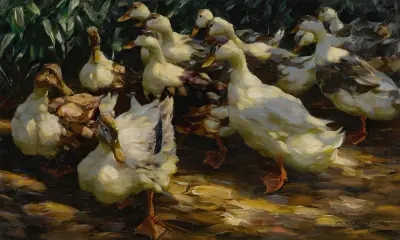 Ducks in Sunlight av Alexander Koester